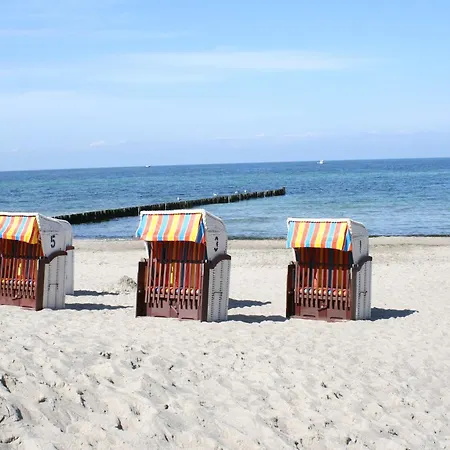 Appartement In Mit Terrasse *